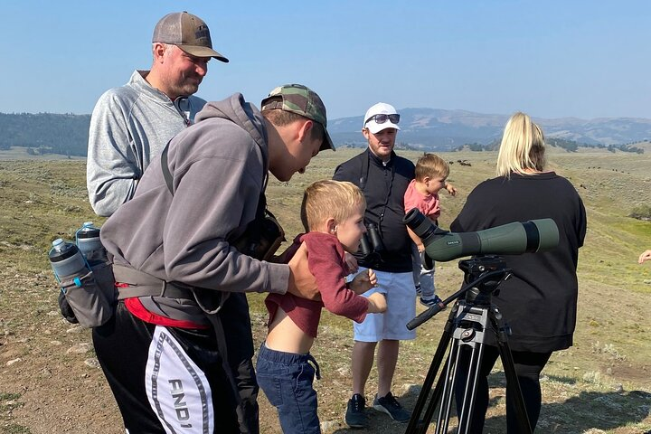 Yellowstone Full-Day Upper Loop with Wildlife Adventure w/Lunch - Photo 1 of 6